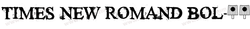 TIMES NEW ROMAND BOL字体转换